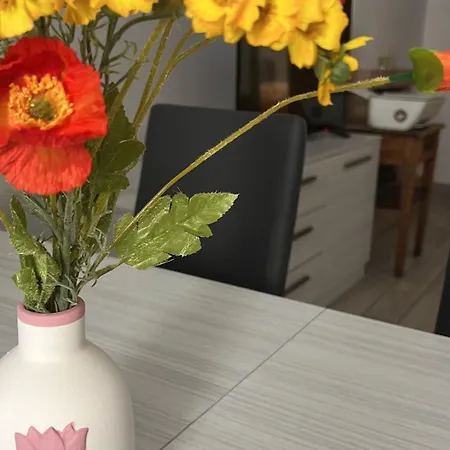 141 Via Roma Daire LʼAquila