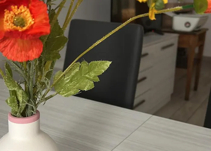 141 Via Roma Lejlighed L'Aquila